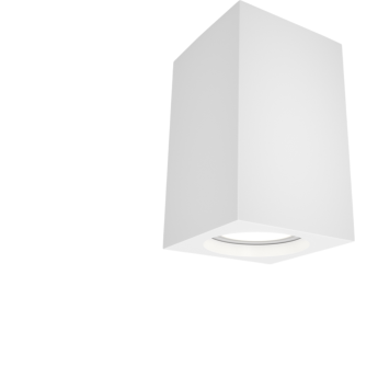 Потолочный светильник MAYTONI FOCUS C011CL-01W